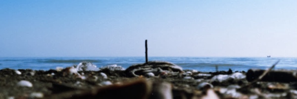 ‌صیاد خمینی!‌'s header picture