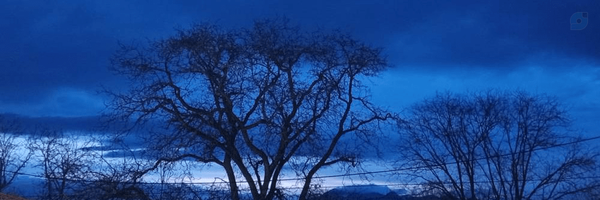 ‌Sepideh‌'s header picture