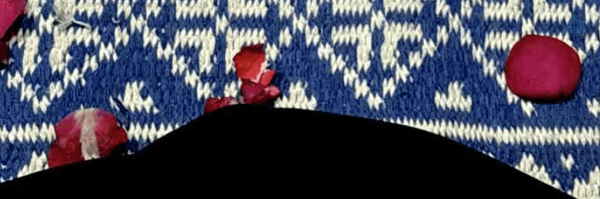 ‌رز 14‌'s header picture