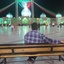 Profile picture of ‌مصطفی تابع بردبار‌