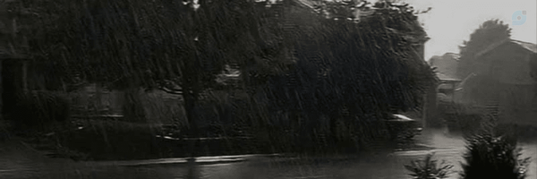 ‌Panah ghodrati‌'s header picture
