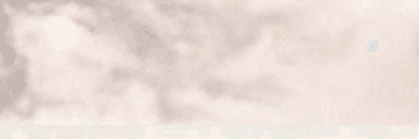 ‌زهره‌'s header picture