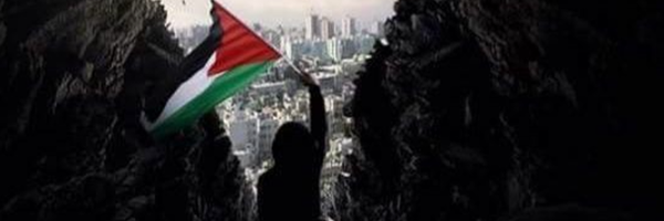 ‌علی باصری‌'s header picture