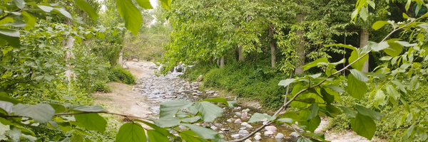 ‌سادات خانم‌'s header picture