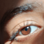 Profile picture of ‌Setayesh Bahmani‌