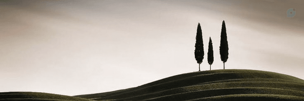 ‌𝓈𝓪𝓻𝓿𝓲𝓷𝓪‌'s header picture