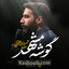 نماهنگ گوشه مشهد