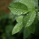 Profile picture of ‌فقط برای خدا 🍃‌