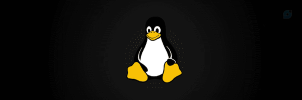 ‌Linus Torvalds‌'s header picture