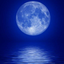 Profile picture of ‌MAHTABESHABE14 M_KH‌