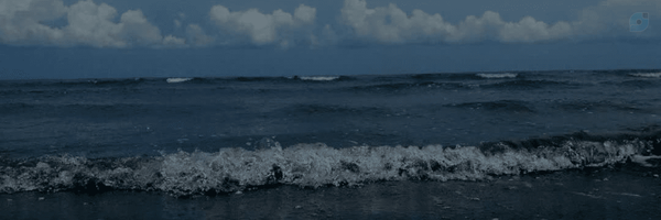 ‌S.Y‌'s header picture