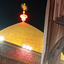 Profile picture of ‌Fatemeh Dehghan‌
