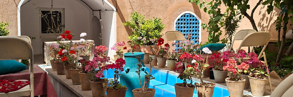 ‌Reyhaneh‌'s header picture