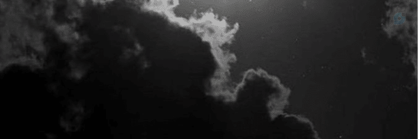 ‌Seyede‌'s header picture