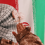 Profile picture of ‌Asma Roshani‌