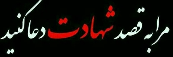 ‌امیرحسین استادابراهیم‌'s header picture