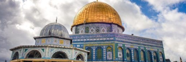 ‌فرزانه فلاحی‌'s header picture