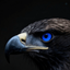 Profile picture of ‌عـقّــ🦅ــابــِــــــ..🚩‌