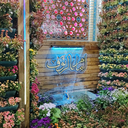 Profile picture of ‌محیا حکاکان‌