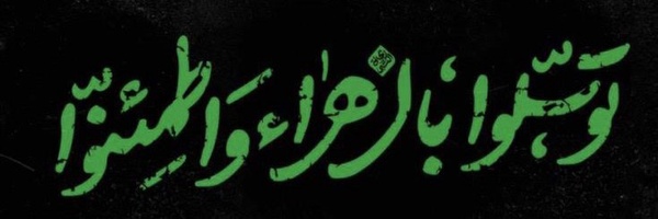 ‌سعدیه محقق 🇮🇷‌'s header picture