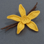 Profile picture of ‌راحل🦋 🌼‌