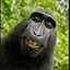 Profile picture of ‌meymoon‌