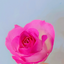 Profile picture of ‌Aa عادل ارجمندی‌