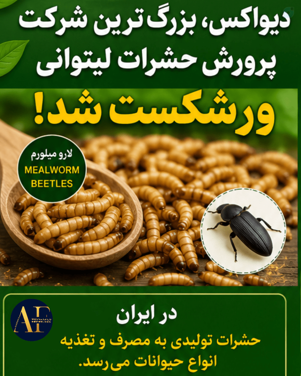 تازه های پرورش حشرات ایران و جهان | دیواکس، بزرگترین شرکت پرورش حشرات لیتوانی، ورشکست شد، ۱۶ تیر ۱۴۰۵-۱۴۰۶ اخبار حشرات خبر فوری