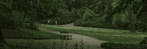 ‌فـندوق خانوم 🌰‌'s header picture