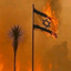 Profile picture of ‌Ali1336‌