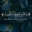 Profile picture of ‌abolfazl‌