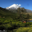 Profile picture of ‌رَستی‌