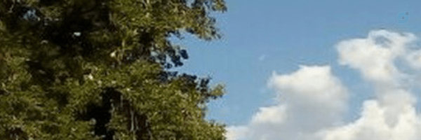 ‌محمدرضا فتحی نجفی‌'s header picture
