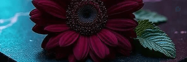 ‌دختری بنام نِل‌'s header picture