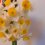 Profile picture of ‌Narges97‌