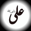 Profile picture of ‌علی ملکی‌