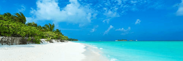 ‌آسمون‌'s header picture