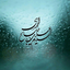 Profile picture of ‌سرباز‌