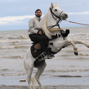 Profile picture of ‌اسماعیل شیخ بهایی‌