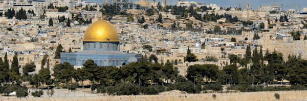 ‌بهادر‌ صفی‌خانی‌ قلی‌زاده‌'s header picture