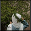 Profile picture of ‌Fatemeh‌