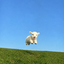 Profile picture of ‌asal 🐇‌