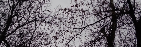 ‌خـانم معروف|ℳiss,ℳaroof‌'s header picture
