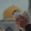 Profile picture of ‌‹مَحیصـٰا›‌
