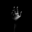 Profile picture of ‌احمدرضا‌