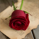 Profile picture of ‌Asmaa‌