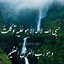Profile picture of ‌نور نوری‌