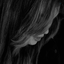 Profile picture of ‌⍤𝕒𝕤𝕒𝕃‌