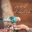 Profile picture of ‌معین الرعایا‌