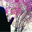 Profile picture of ‌Babaee‌